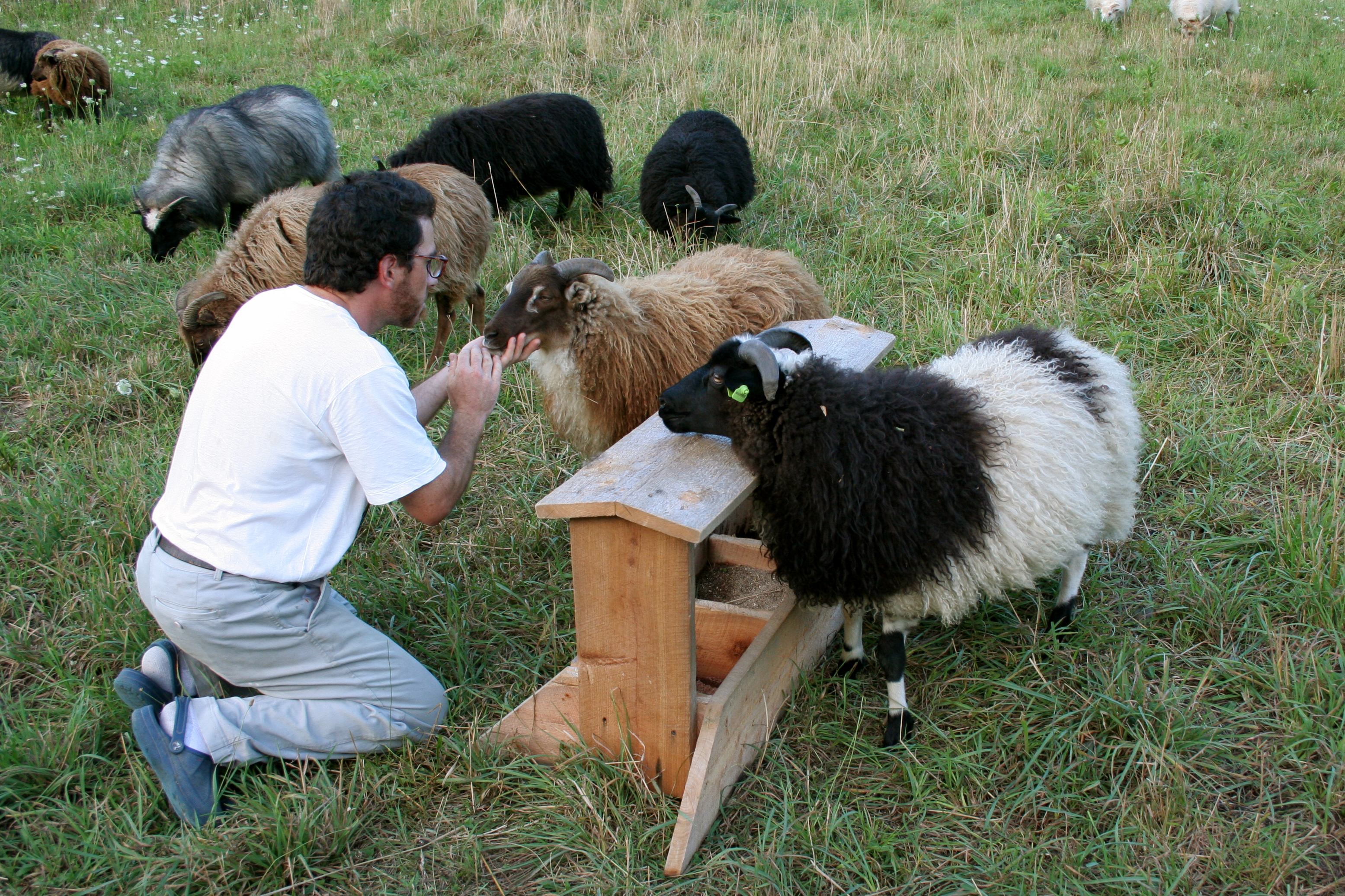 Wolftree Farm photo